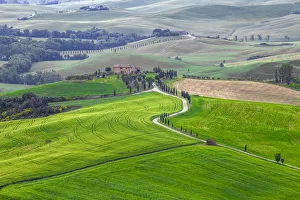 Europe, Italy, Tuscany, Val d Orcia. Farm landscape