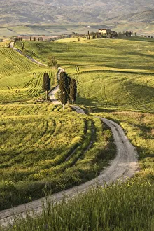 Europe, Italy, Tuscany, Val d Orcia