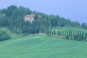 Villa Prints: Europe, Italy, Tuscany. Villa on tree lined hillside in Tuscany