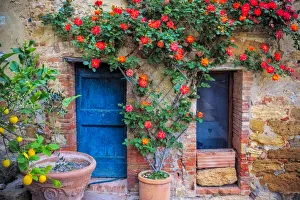Weathered Prints: Europe, Italy, Val d Orcia. two doors with vegetation Credit as: Jim Nilsen