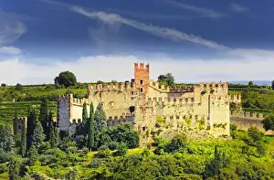 Lake Garda Prints: Europe, Italy, Venato, Soave. The Soave commune produces a dry white wine from