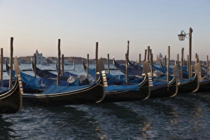 Cover Prints: Europe, Italy, Venice. Close-up of moored gondolas
