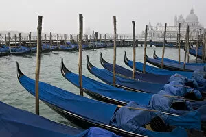 Europe, Italy, Venice. Moored gondolas with Santa Maria della Salute in background