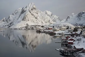 Images Dated 16th February 2016: Europe, Lofoten Islands, Moskenesoya, Reine, Norway