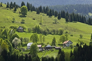 Images Dated 12th May 2007: Europe, Montenegro