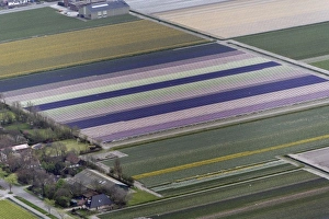 Europe, Netherlands, Holland