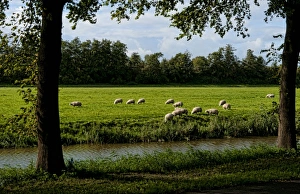 Images Dated 2027 September: Europe, Netherlands, Holland