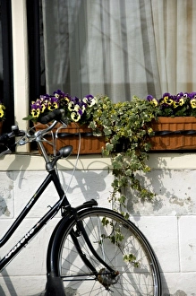 Europe, Netherlands, Holland