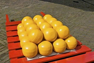 Images Dated 14th April 2008: Europe, Netherlands, Holland