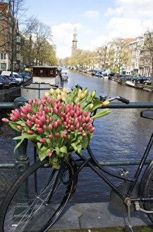 Images Dated 14th April 2008: Europe, Netherlands, Holland