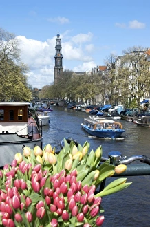 Images Dated 14th April 2008: Europe, Netherlands, Holland