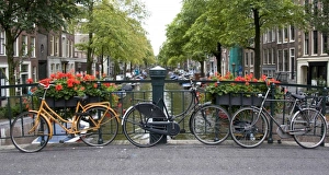 Images Dated 7th September 2007: Europe, Netherlands, Holland