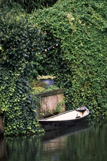 Images Dated 6th June 2011: Europe, Netherlands, Holland