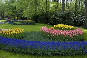 Images Dated 25th April 2004: Europe, Netherlands, Holland, Lisse, Keukenhof Gardens in spring