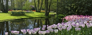 Images Dated 25th April 2004: Europe, Netherlands, Holland, Lisse, Keukenhof Gardens in spring
