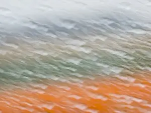 Netherlands, Holland Prints: Europe; Netherlands; Nord Holland; Tulips and Rain Drops in Patterns
