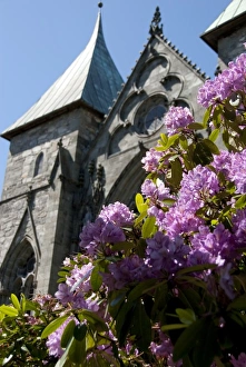 Images Dated 21st June 2009: Europe, Norway