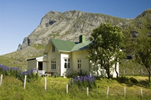 Images Dated 31st July 2006: Europe, Norway