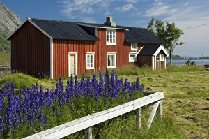 Images Dated 31st July 2006: Europe, Norway
