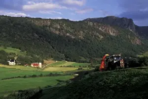 Tractor Prints: Europe, Norway, Dale. Farmer harvesting grass on steep slope