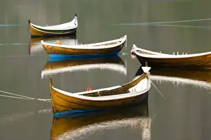 Lofoten Prints: Europe, Norway, Lofoten. Traditional wooden fishing boats in the town of a