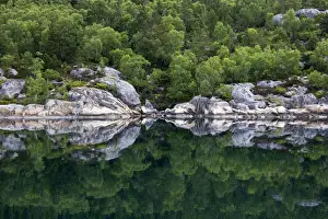 Mirror Prints: Europe, Norway, Lysefjord. Reflective Landscape of Lysefjord