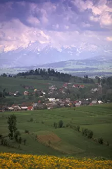 Images Dated 1st September 2003: EUROPE, Poland, Carpathian Mts