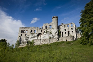 Europe, Poland. View of Ogrodzieniec Castle