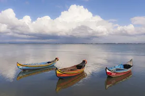 Lagoon Prints: Europe, Portugal, Aveiro Lagoon. Traditional fishing boats moored in water