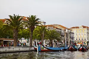 Images Dated 1st July 2011: Europe; Portugal; Averio; Moliceiro Boats Along the main canal of Averio