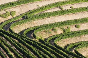 Images Dated 29th June 2015: Europe, Portugal, Douro Valley