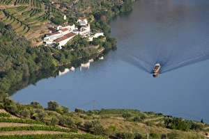 Images Dated 29th June 2015: Europe, Portugal, Douro Valley