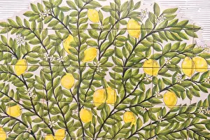 Lemon Prints: Europe, Portugal, Evora, handpainted ceramic tile mural