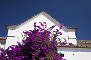 Images Dated 28th June 2011: Europe, Portugal, Lisbon; Colorful Alfama neighborhood of Lisbon