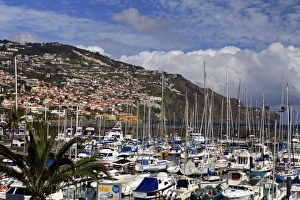 Seafront Prints: Europe, Portugal, Madeira. Boats in the harbor at Funchal, Madeira