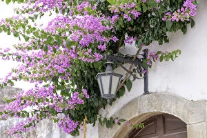 Portugal Gallery: Europe, Portugal, Obidos. Arched doorway with Purple Bougainvillea and wrought Iron