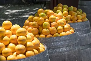 Fruit Stand Prints: Europe, Portugal, Obidos. Barrels of Navel oranges for sale
