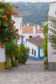 Images Dated 25th June 2015: Europe, Portugal, Obidos. Leira District. Cobblestone walkways, and colorful flowers
