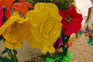 Images Dated 9th July 2011: Europe; Portugal; Tomar; The streets of Tomar decorated with paper flowers for the celebrations