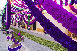 Images Dated 8th July 2011: Europe; Portugal; Tomar; The streets of Tomar decorated with paper flowers for the celebrations