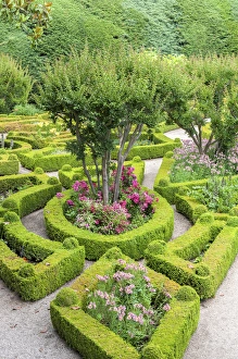 Europe, Portugal, Vila Real, Palace of Mateus, formal garden