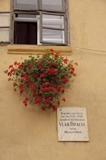 Images Dated 4th September 2009: Europe, Romania