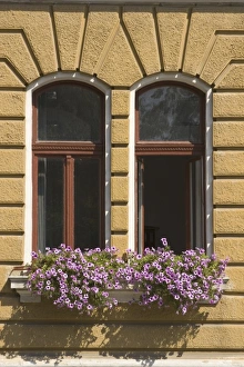 Images Dated 3rd August 2007: Europe, Romania