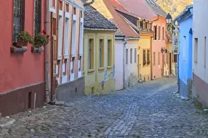 Alley Prints: Europe, Romania, Sighisoara, cobblestone residential street of colorful houses in village