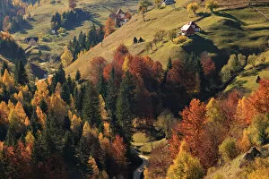 Romania Gallery: Europe, Romania, Transylvania, Carpathian Mountains, Magura, Piatra Craiului National