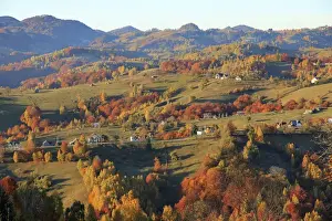 Europe, Romania, Transylvania, Carpathian Mountains, Magura, Piatra Craiului National Park