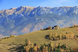 Romania Prints: Europe, Romania, Transylvania, Carpathian Mountains, Magura, Piatra Craiului National Park
