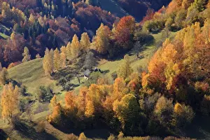 Romania Prints: Europe, Romania, Transylvania, Carpathian Mountains, Magura, Piatra Craiului National Park