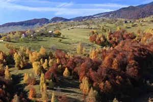 Romania Prints: Europe, Romania, Transylvania, Carpathian Mountains, Magura, Piatra Craiului National Park