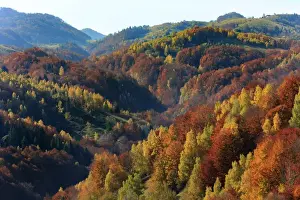 Europe, Romania, Transylvania, Carpathian Mountains, Magura, Piatra Craiului National Park